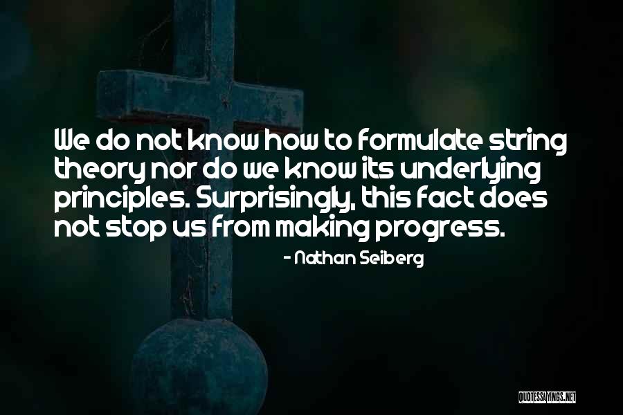 Nathan Seiberg Quotes 1206990