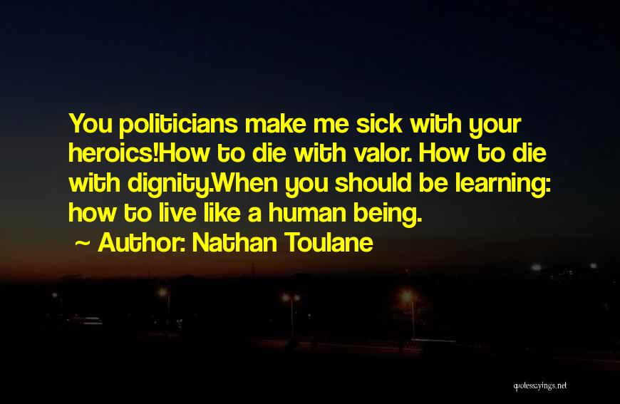 Nathan Toulane Quotes 1487459