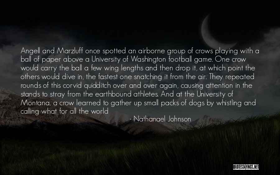 Nathanael Johnson Quotes 604614 Nathanael Johnson Quotes 604614