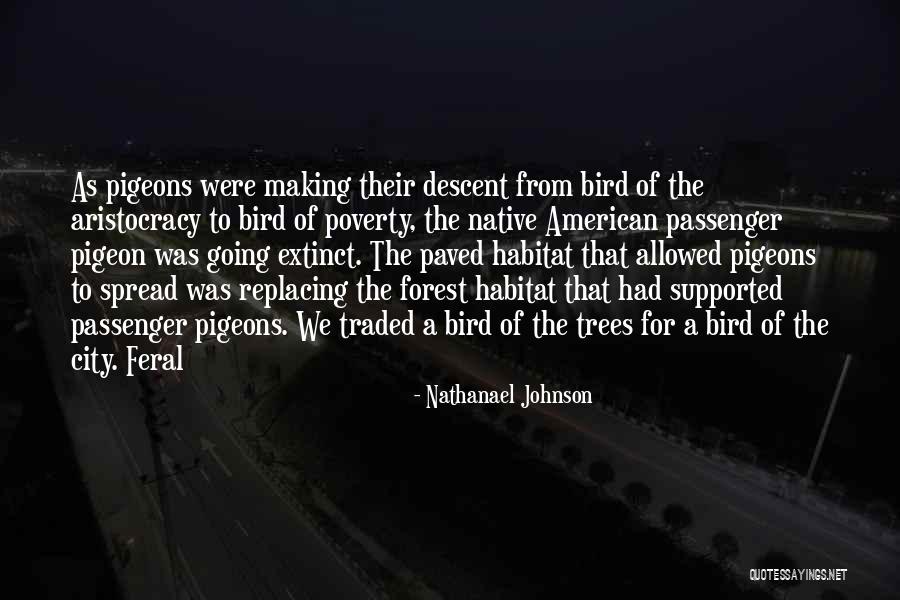 Nathanael Quotes By Nathanael Johnson Nathanael Quotes By Nathanael Johnson