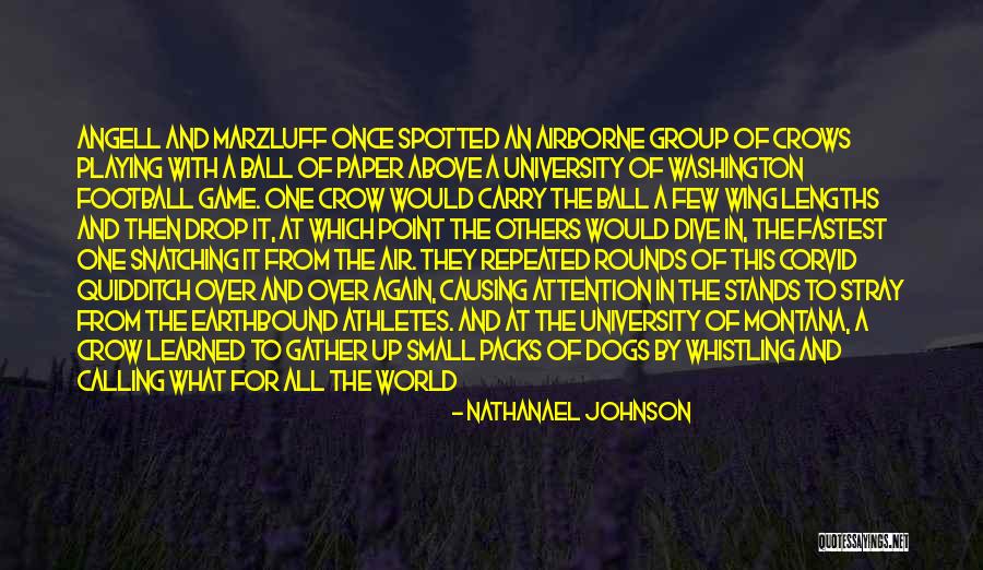 Nathanael Quotes By Nathanael Johnson Nathanael Quotes By Nathanael Johnson