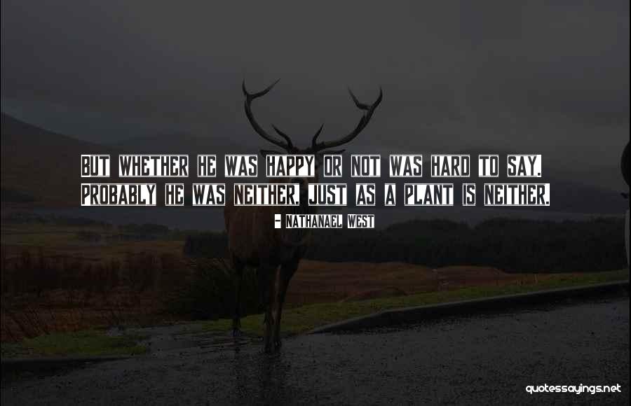 Nathanael West Quotes 1795666 Nathanael West Quotes 1795666