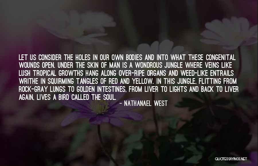 Nathanael West Quotes 372790 Nathanael West Quotes 372790