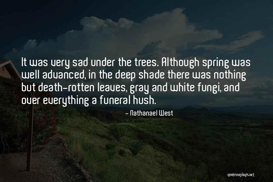 Nathanael West Quotes 619790 Nathanael West Quotes 619790