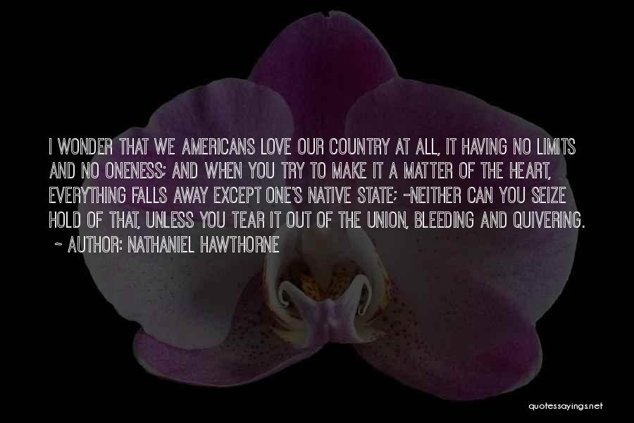 Nathaniel Hawthorne Quotes 332252