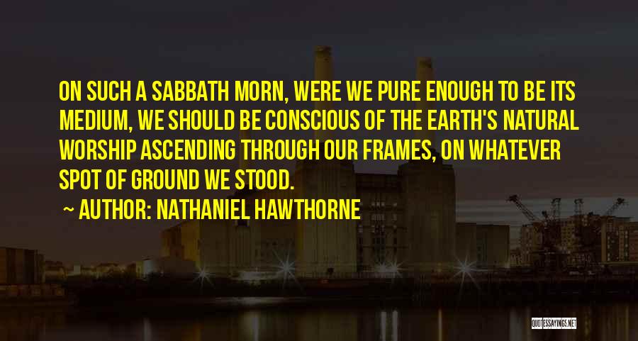 Nathaniel Hawthorne Quotes 671197
