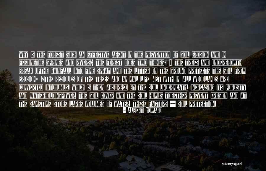 Nathanson Virtual Fundraiser Quotes By Albert Howard Nathanson Virtual Fundraiser Quotes By Albert Howard