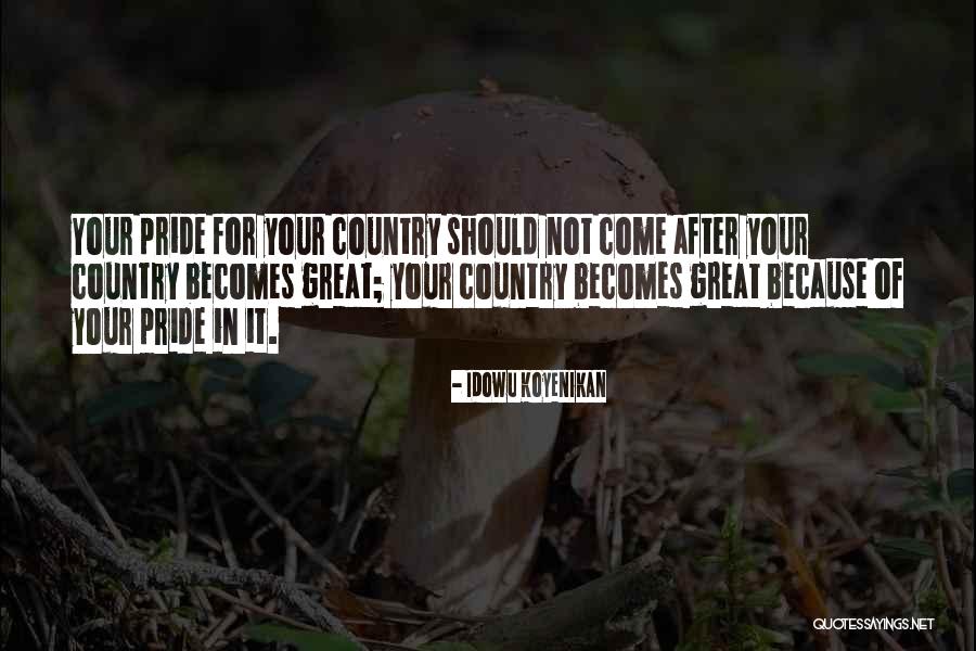Nation Building Quotes By Idowu Koyenikan Nation Building Quotes By Idowu Koyenikan