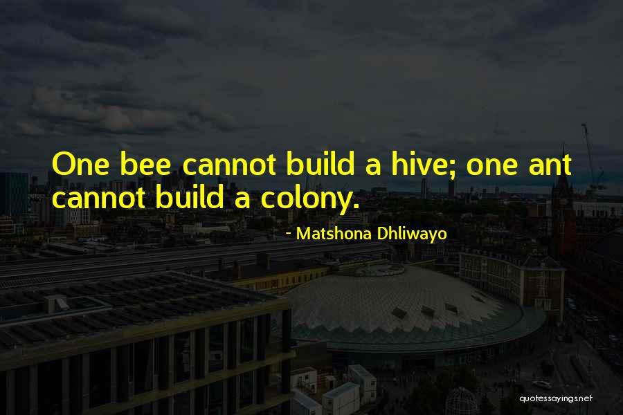 Nation Building Quotes By Matshona Dhliwayo Nation Building Quotes By Matshona Dhliwayo