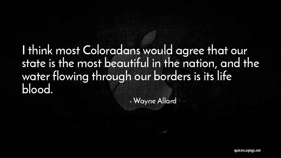 Nation State Quotes By Wayne Allard Nation State Quotes By Wayne Allard