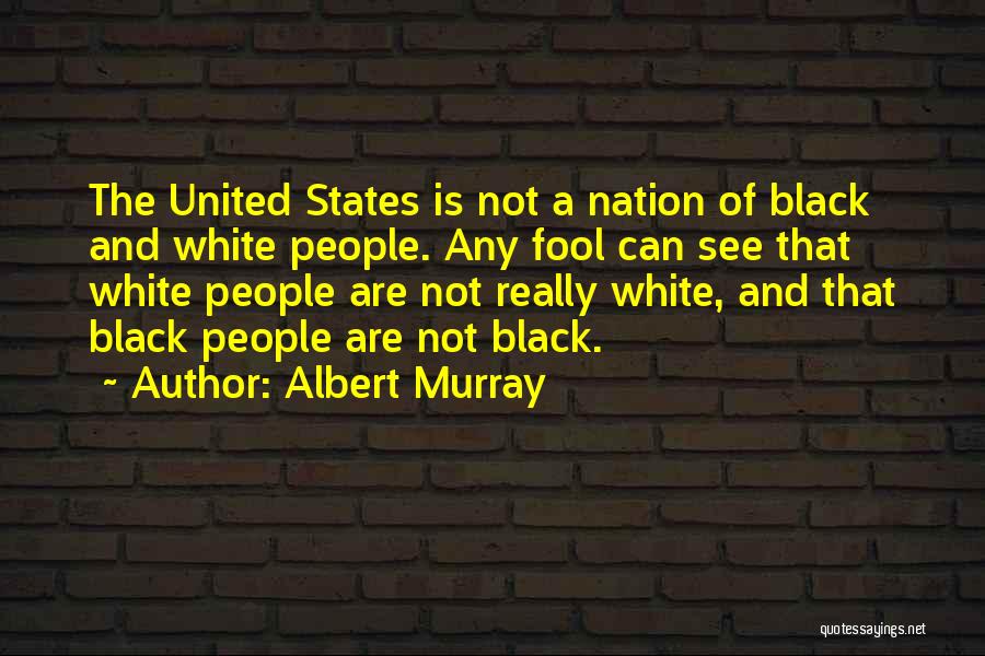 Nation States Quotes By Albert Murray