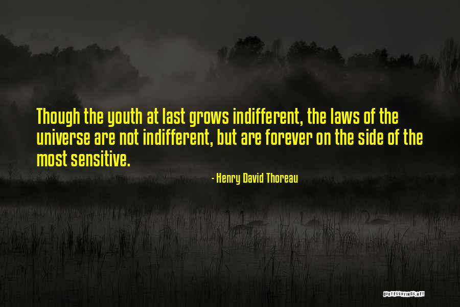 National Geo Kids Quotes By Henry David Thoreau National Geo Kids Quotes By Henry David Thoreau