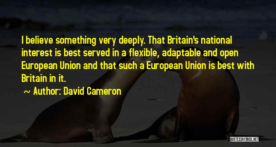 National Interest Quotes By David Cameron