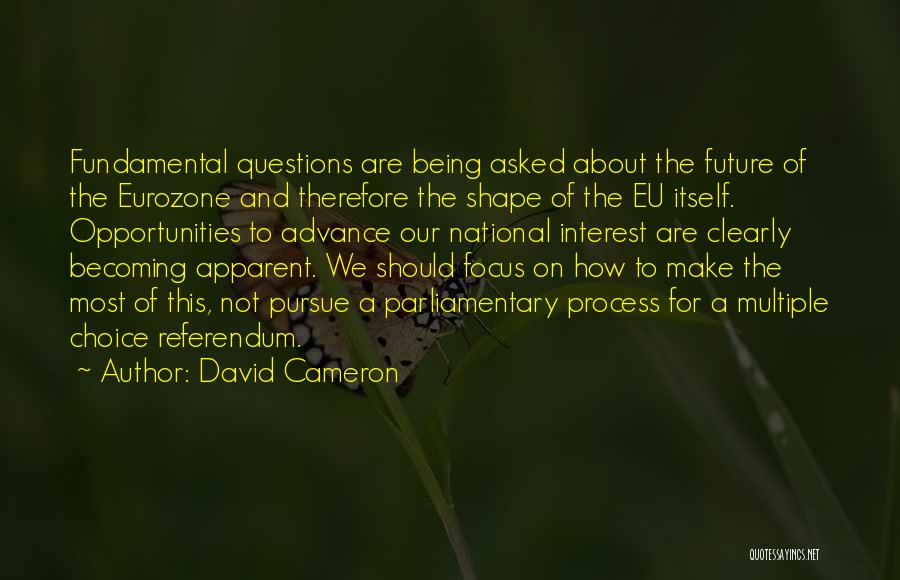 National Interest Quotes By David Cameron