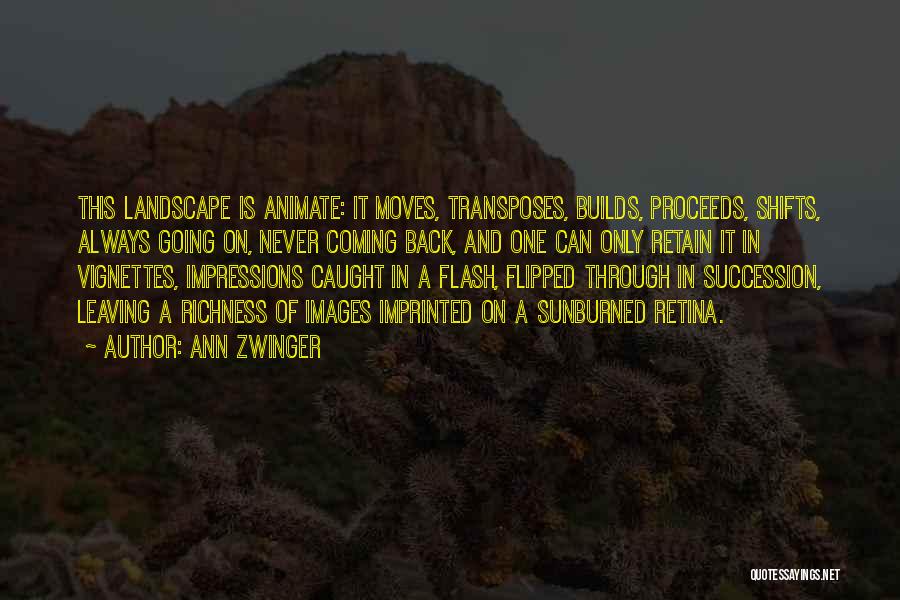 National Parks Quotes By Ann Zwinger