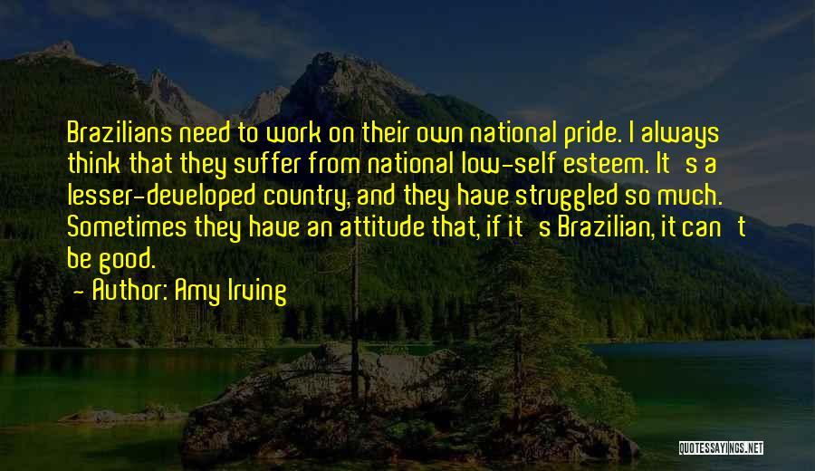 National Pride Quotes By Amy Irving