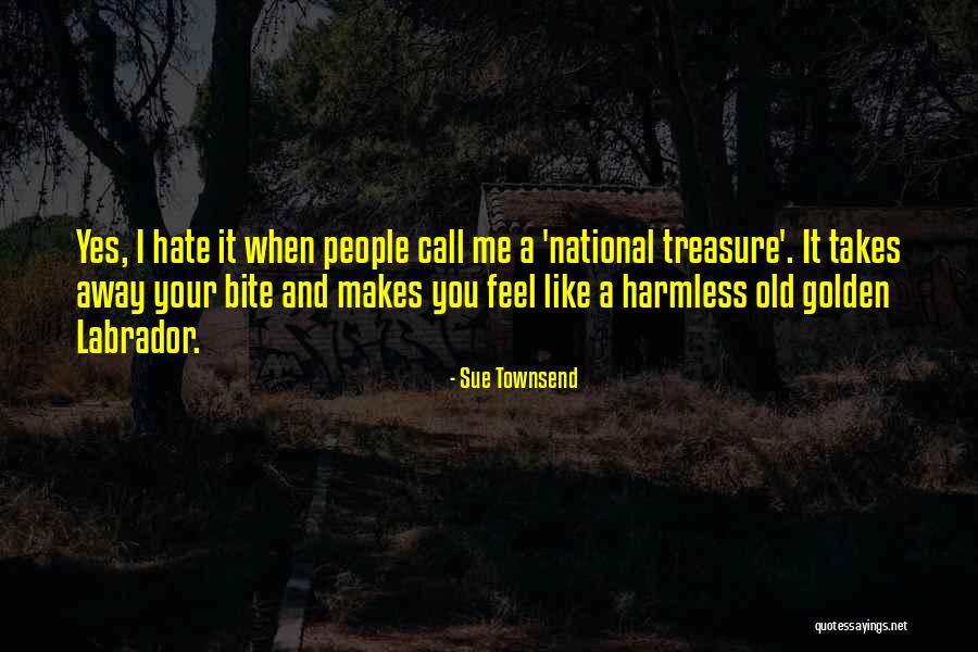 National Treasure Best Quotes By Sue Townsend National Treasure Best Quotes By Sue Townsend