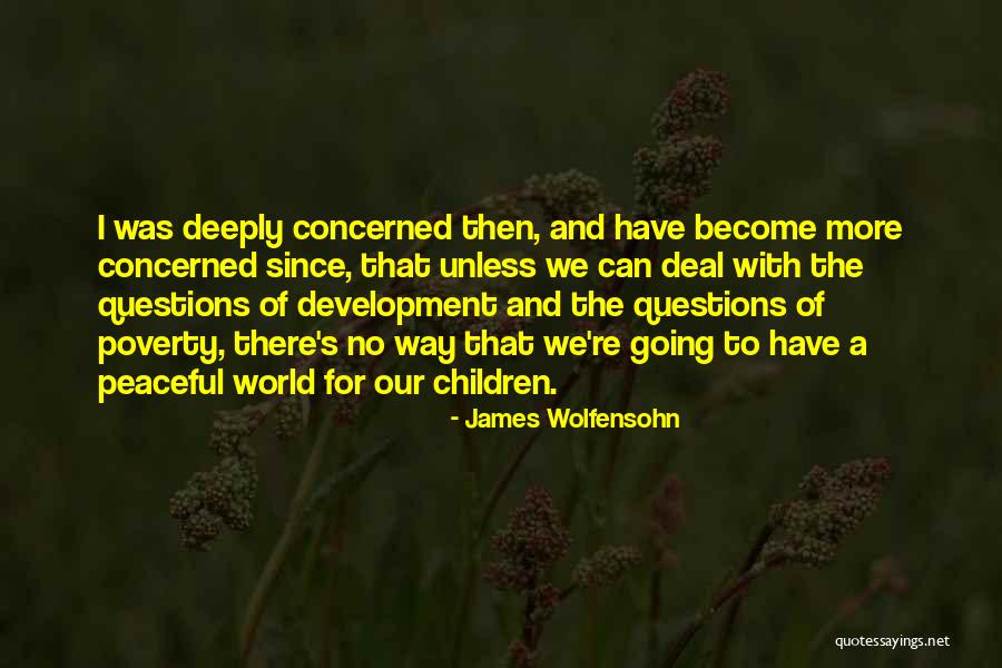 Nationbuilder In Chief Quotes By James Wolfensohn Nationbuilder In Chief Quotes By James Wolfensohn