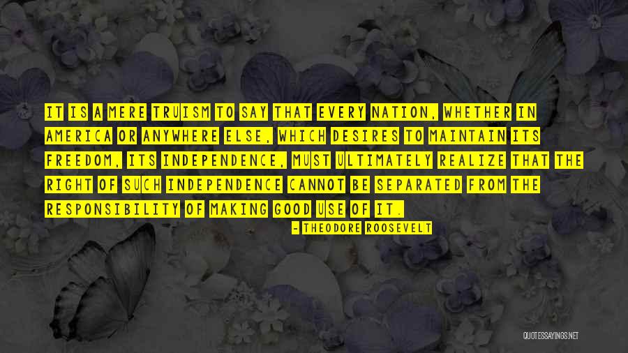 Nation's Independence Quotes By Theodore Roosevelt Nation's Independence Quotes By Theodore Roosevelt