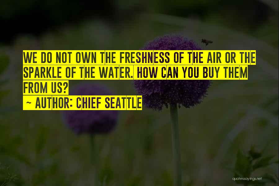 Native American Chief Quotes By Chief Seattle