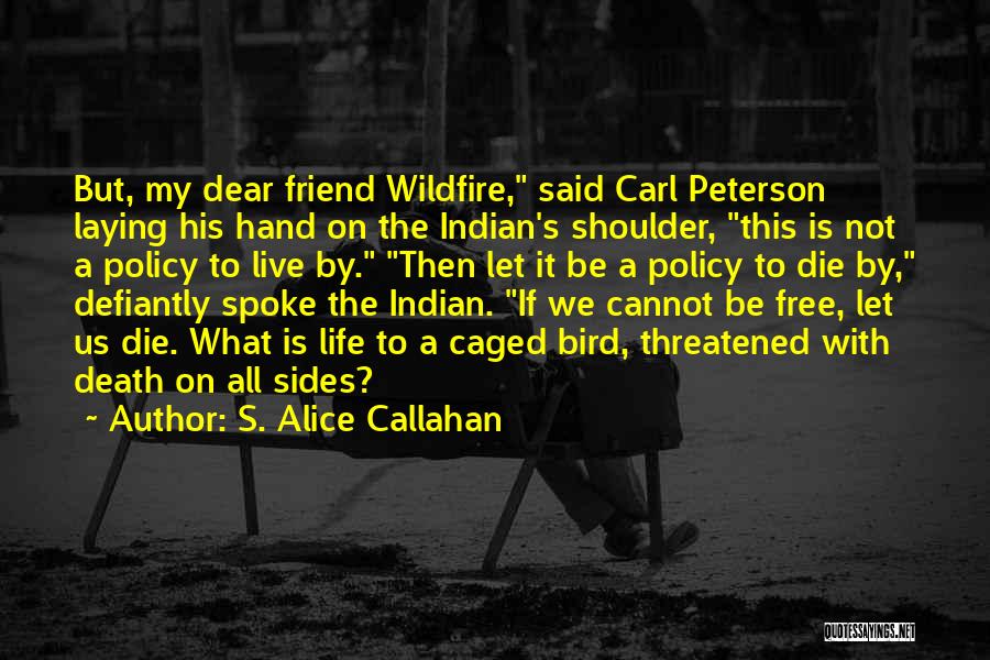 Native American Freedom Quotes By S. Alice Callahan