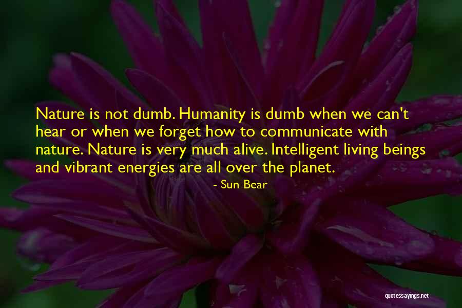 Native American Nature Quotes By Sun Bear Native American Nature Quotes By Sun Bear