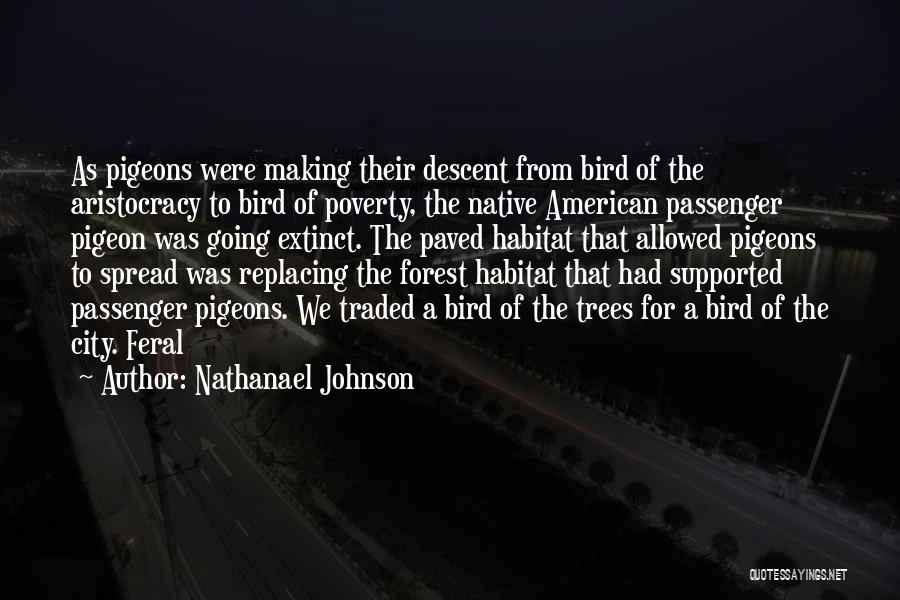 Native American Poverty Quotes By Nathanael Johnson