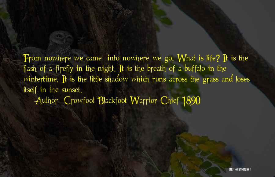Native American Quotes By Crowfoot Blackfoot Warrior Chief 1890