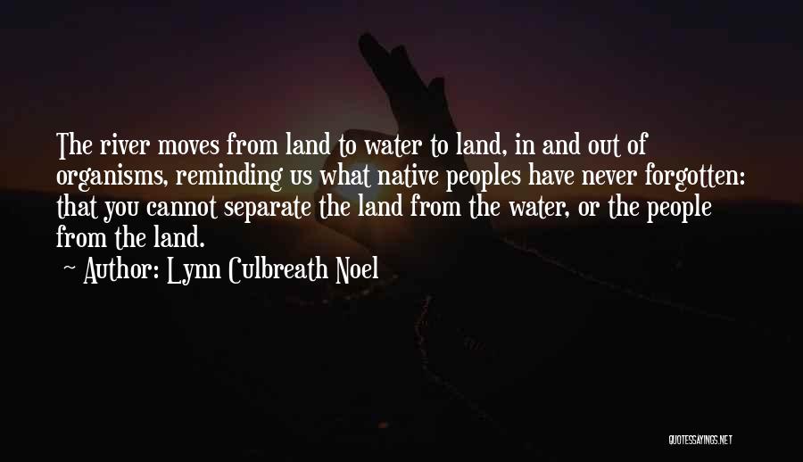 Native Land Quotes By Lynn Culbreath Noel