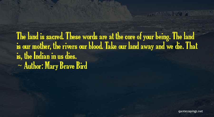 Native Land Quotes By Mary Brave Bird