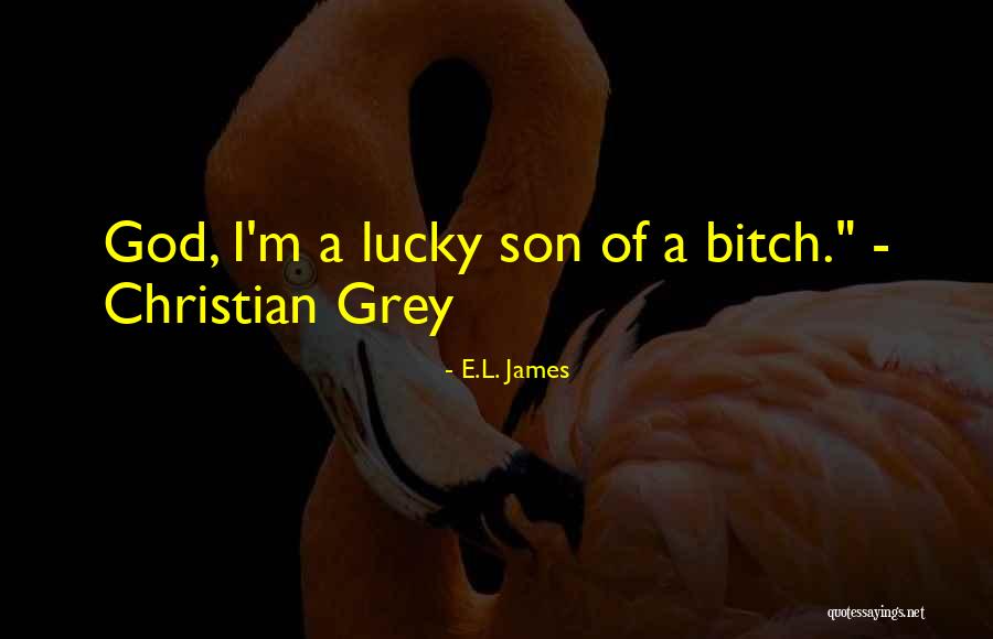 Nativos Quotes By E.L. James