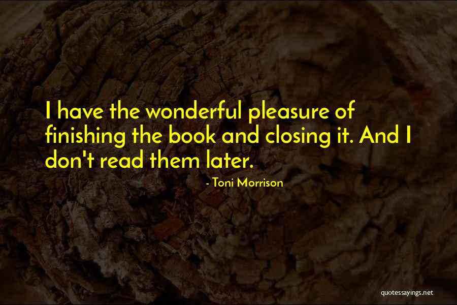 Natsuki Minamiya Quotes By Toni Morrison Natsuki Minamiya Quotes By Toni Morrison