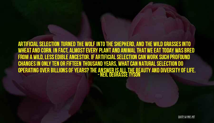 Natural Artificial Quotes By Neil DeGrasse Tyson Natural Artificial Quotes By Neil DeGrasse Tyson