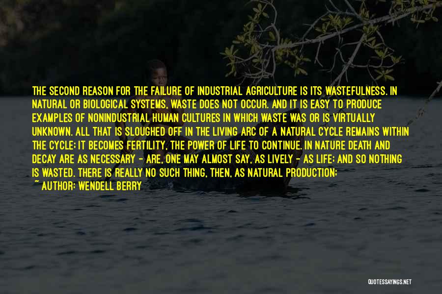 Natural Decay Quotes By Wendell Berry