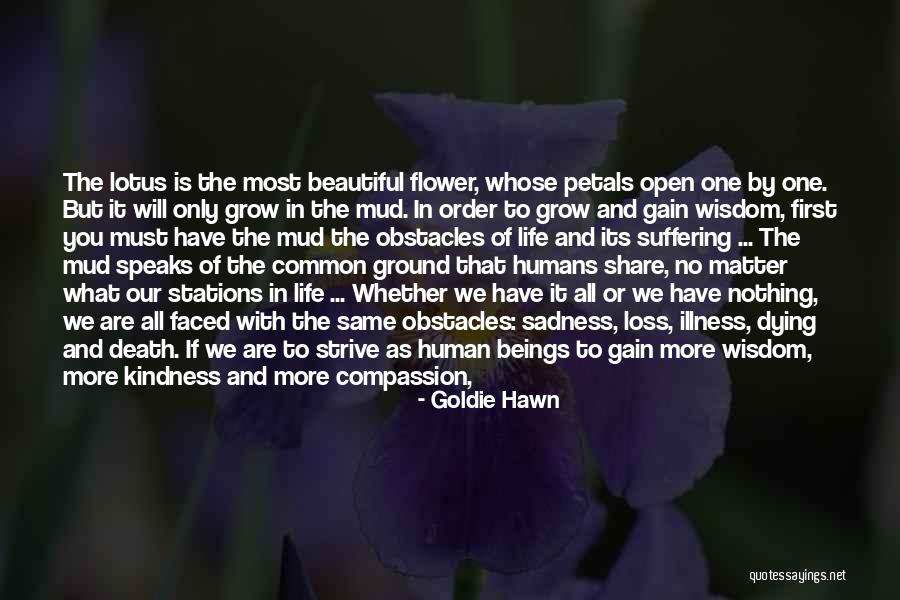 Natural Disaster And Nature Quotes By Goldie Hawn Natural Disaster And Nature Quotes By Goldie Hawn