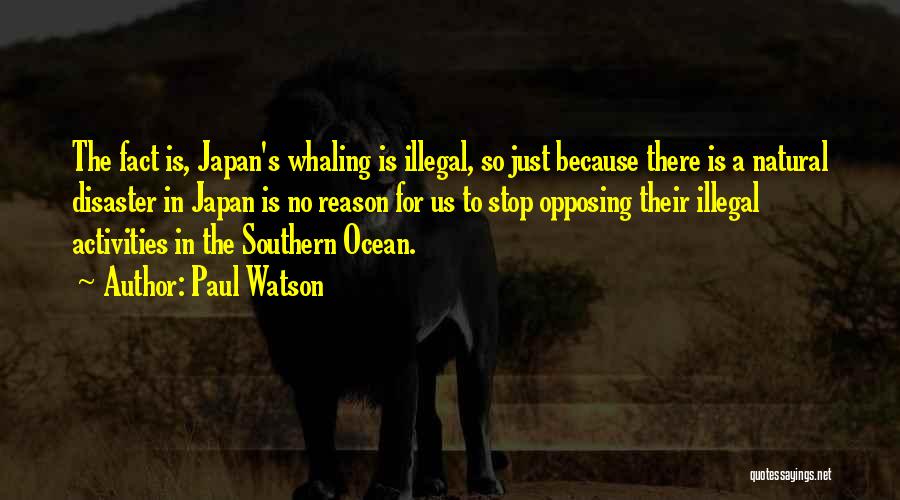 Natural Disaster Quotes By Paul Watson