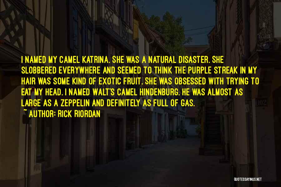 Natural Disaster Quotes By Rick Riordan