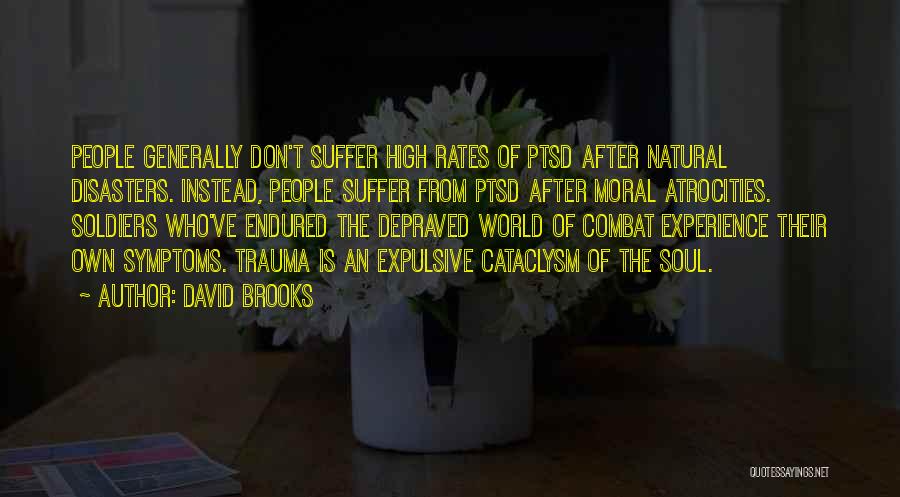 Natural Disasters Quotes By David Brooks