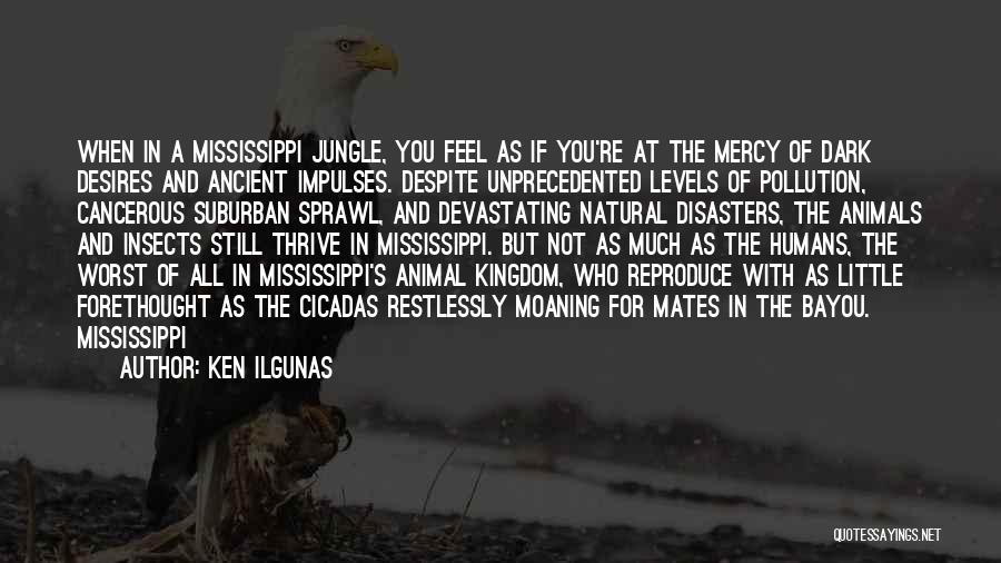 Natural Disasters Quotes By Ken Ilgunas