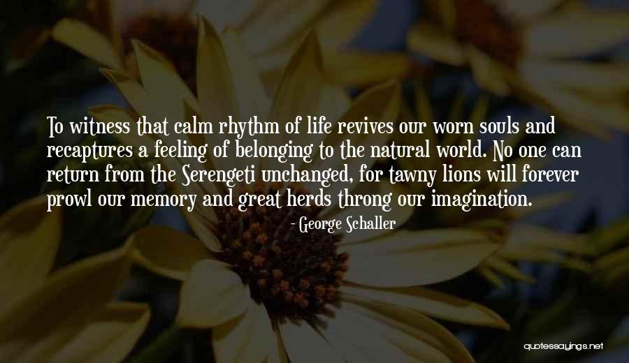 Natural Feeling Quotes By George Schaller Natural Feeling Quotes By George Schaller