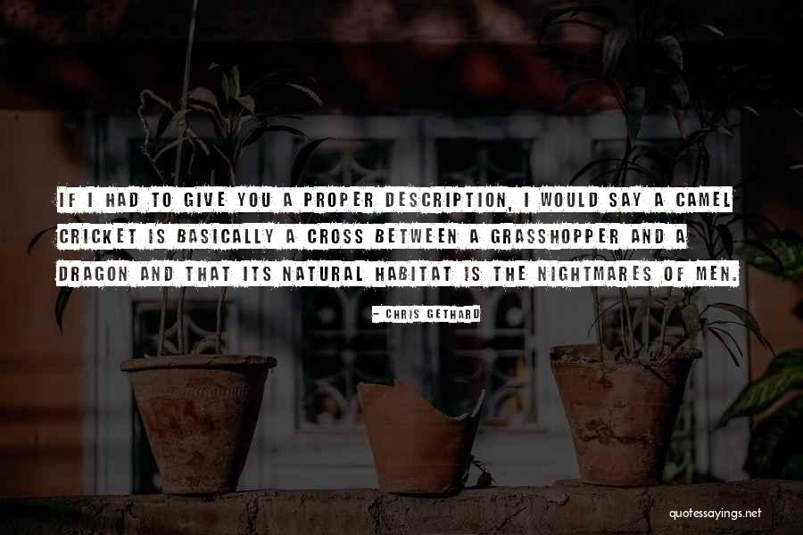 Natural Habitat Quotes By Chris Gethard Natural Habitat Quotes By Chris Gethard