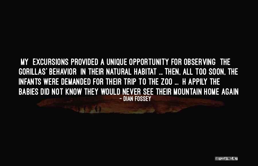Natural Habitat Quotes By Dian Fossey Natural Habitat Quotes By Dian Fossey