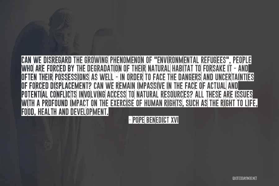 Natural Habitat Quotes By Pope Benedict XVI Natural Habitat Quotes By Pope Benedict XVI