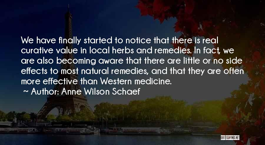 Natural Herbs Quotes By Anne Wilson Schaef