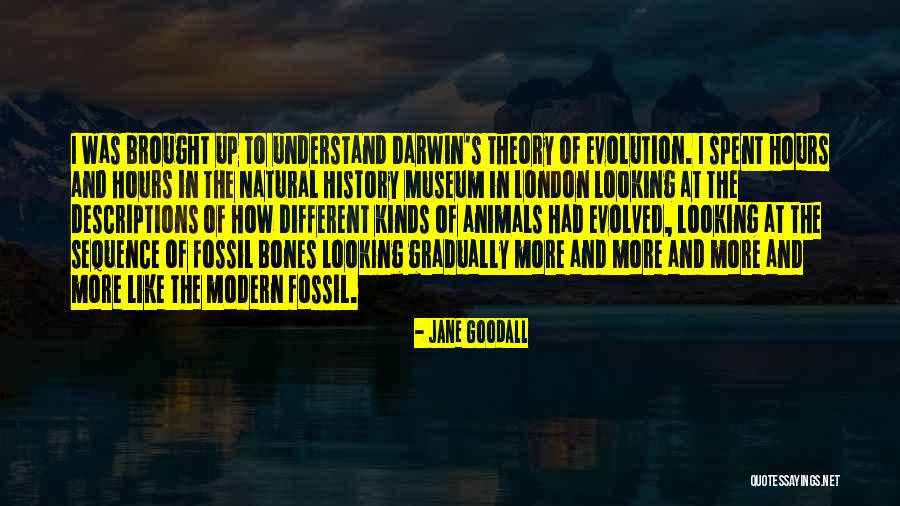 Natural History Quotes By Jane Goodall