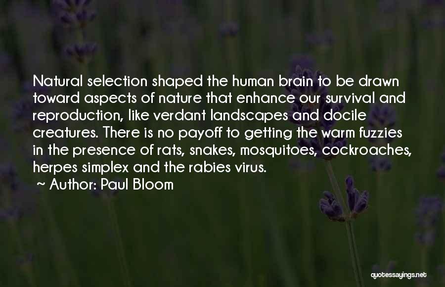 Natural Landscapes Quotes By Paul Bloom