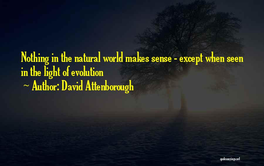 Natural Light Quotes By David Attenborough