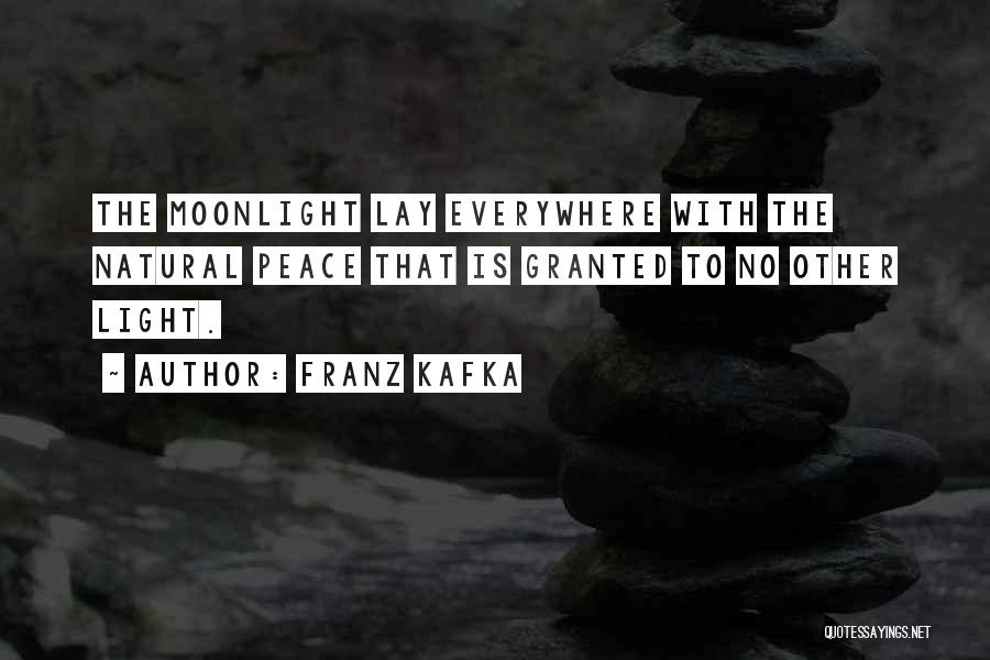 Natural Light Quotes By Franz Kafka