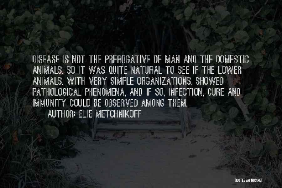 Natural Phenomena Quotes By Elie Metchnikoff