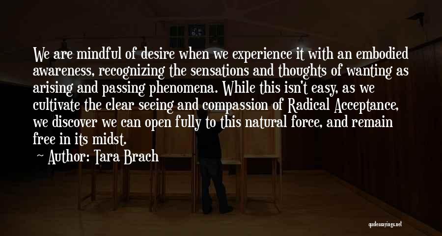 Natural Phenomena Quotes By Tara Brach